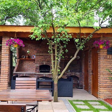 Вилла Cozy House With Nice Garden In Heart Of City Center Клуж-Напока Экстерьер фото