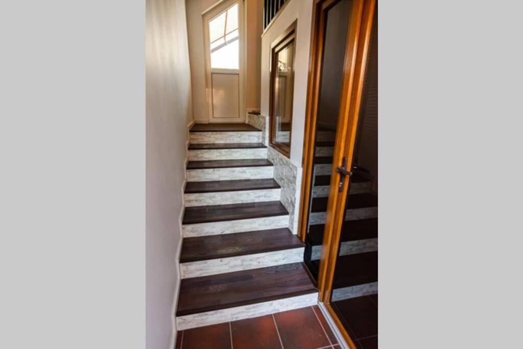 Вилла Cozy House With Nice Garden In Heart Of City Center Клуж-Напока Экстерьер фото