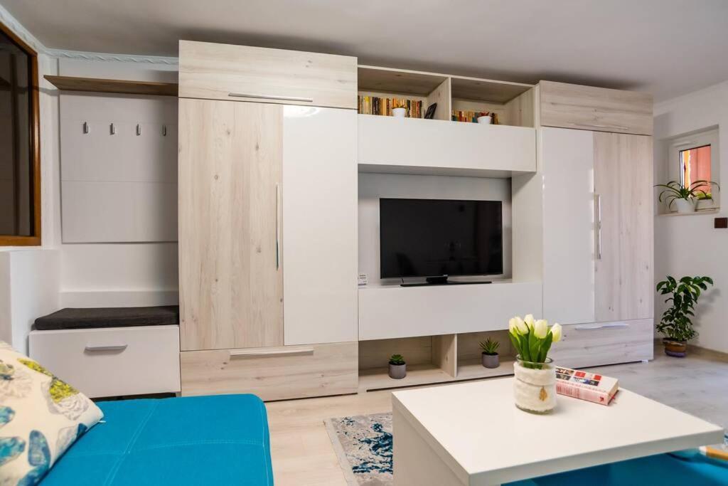 Вилла Cozy House With Nice Garden In Heart Of City Center Клуж-Напока Экстерьер фото