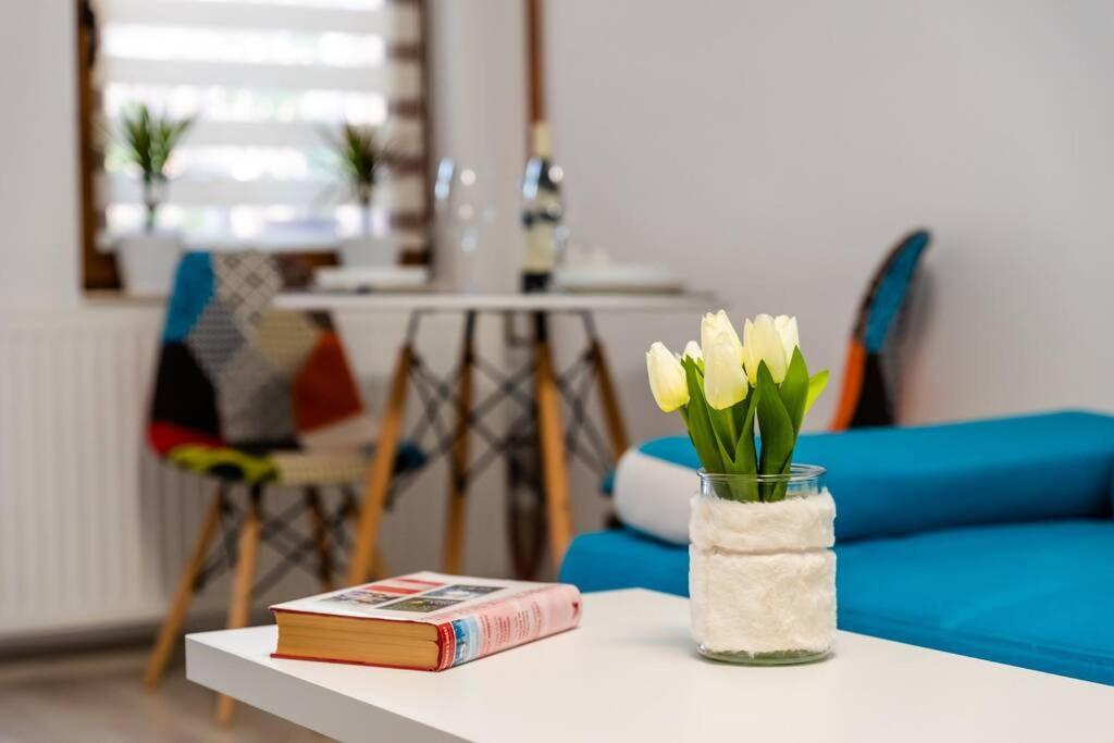Вилла Cozy House With Nice Garden In Heart Of City Center Клуж-Напока Экстерьер фото