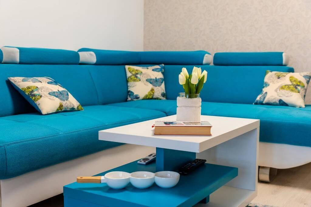 Вилла Cozy House With Nice Garden In Heart Of City Center Клуж-Напока Экстерьер фото